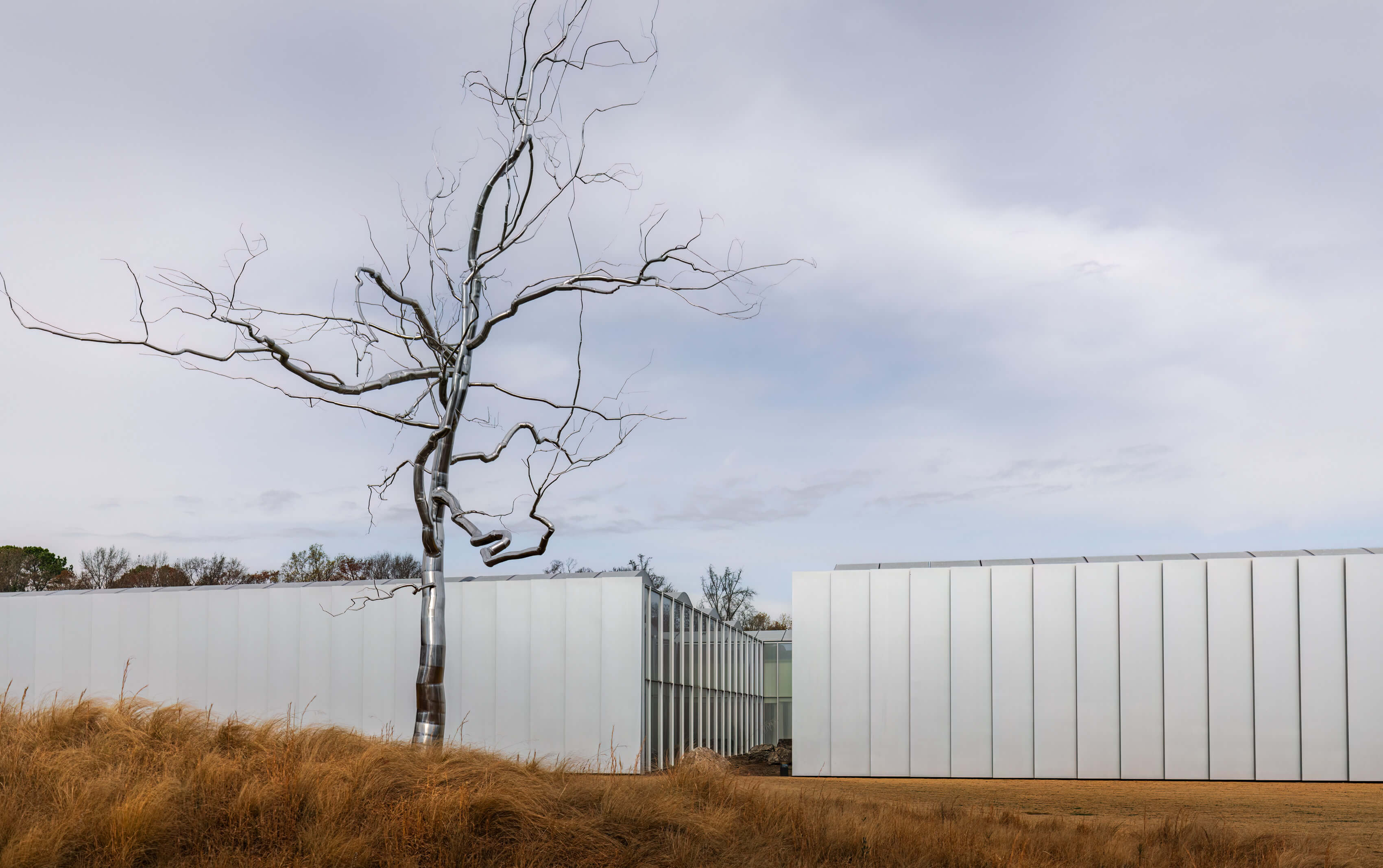 NC Museum of Art | Raleigh, NC | Architectural Photography